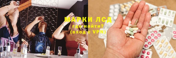 прущие грибы Балабаново