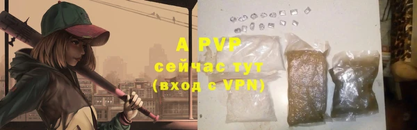 прущие грибы Балабаново