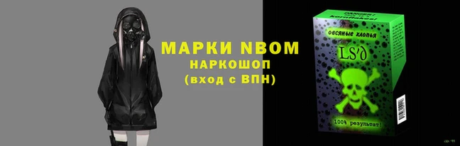 прущие грибы Балабаново