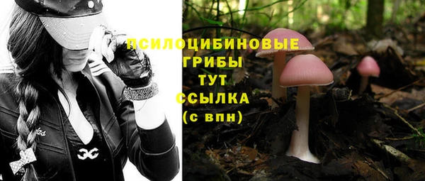 синтетический гашиш Балахна
