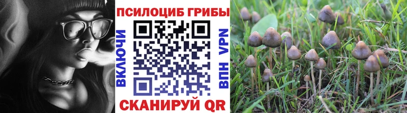 Псилоцибиновые грибы MAGIC MUSHROOMS  Вяземский 